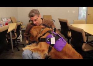 Power Paws Assistance